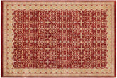 9x12 hand knotted transitional wool rug in red and green - Chic Latina Red/ Green