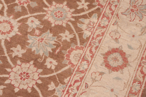 handmade Transitional Kafkaz Brown Beige Hand Knotted RECTANGLE 100% WOOL area rug 6' x 9'