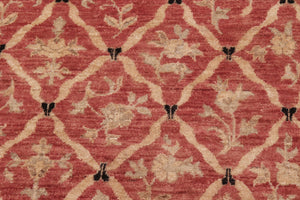 handmade Transitional Kafkaz Red Black Hand Knotted RECTANGLE 100% WOOL area rug 6' x 9'